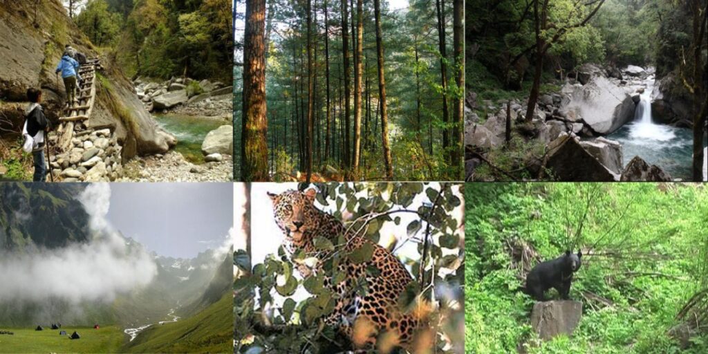 Great National Himalayan Park Wildlife